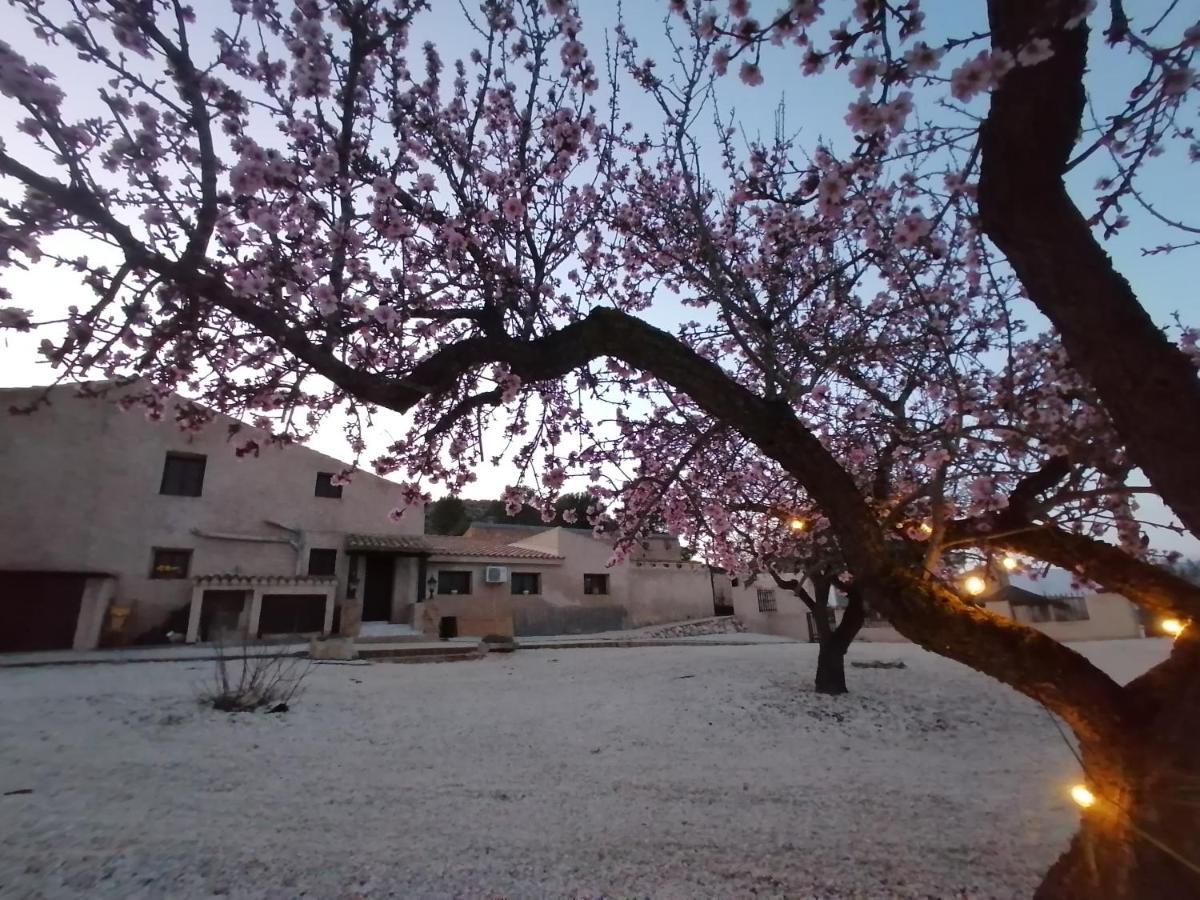 Finca Guillermo Murcia Canada del Trigo Экстерьер фото